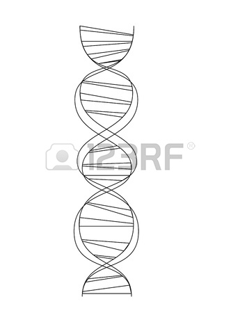 345x450 Molecule Body Concept Of The Human Dna Royalty Free Cliparts