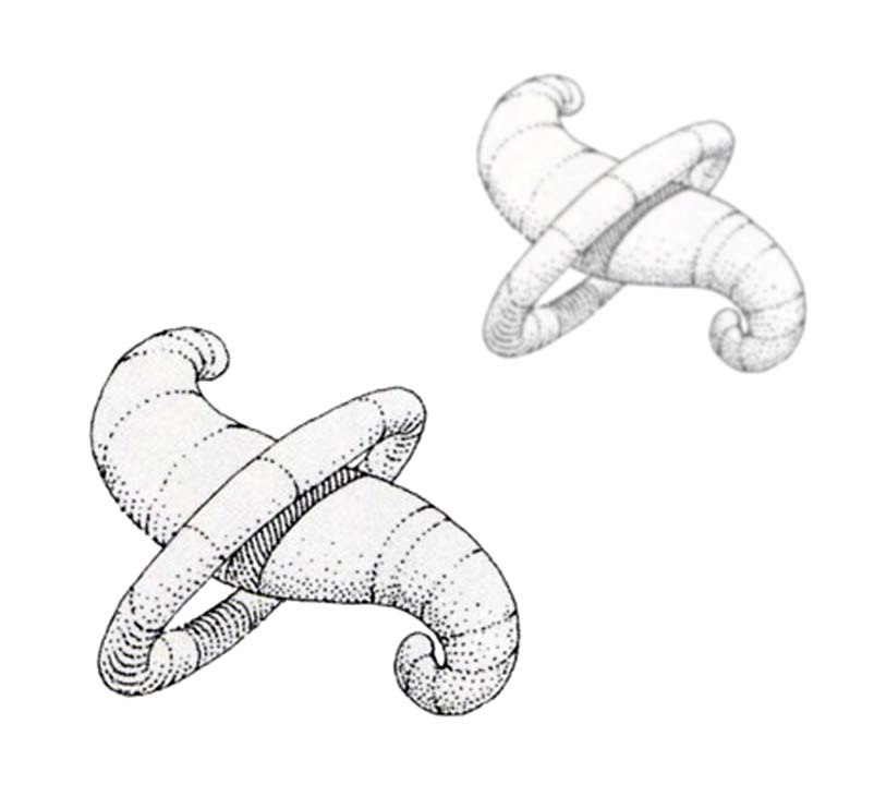 802x741 Summer Drawing