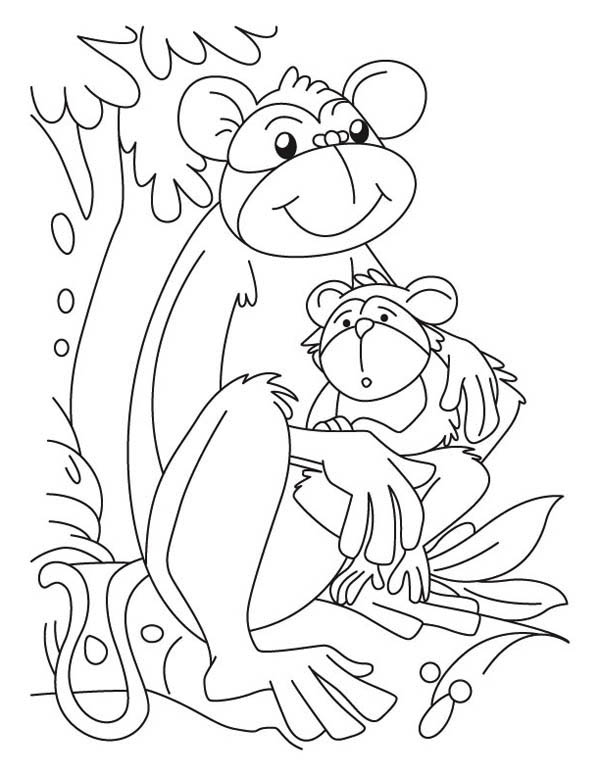 600x776 Baby Monkey And Its Mom Coloring Page