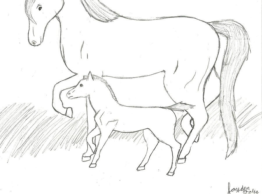 900x668 Mom And Baby Horse Line Art By Toboegirl55