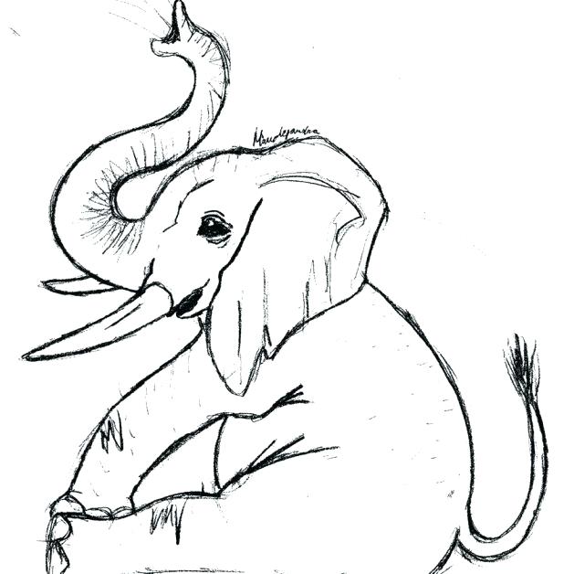 618x628 Cute Elephant Coloring Pages Murs