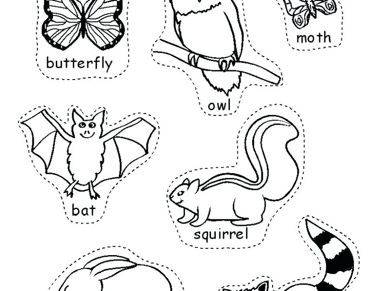 800x600 Cool Mona Lisa Coloring Page Print Nocturnal Animals Pages