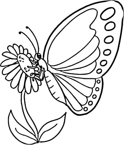 413x480 Monarch Butterfly Coloring Page Free Printable Coloring Pages
