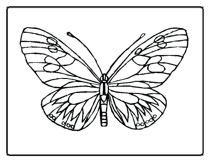 869x671 Elegant Monarch Butterfly Coloring Page Crayola Photo Pages Good