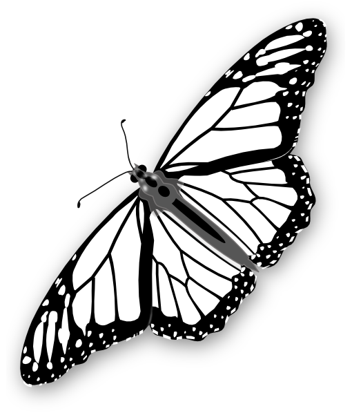 510x598 Monarch Butterfly Bw Clip Art