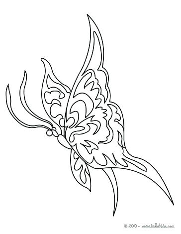 364x470 Monarch Butterfly Coloring Page 53 Together With Butterfly