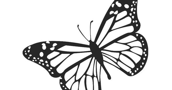 600x315 Glass Wing Butterfly