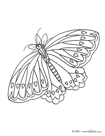363x470 Coloring Page Of Butterfly Detailed Coloring Page Butterflies