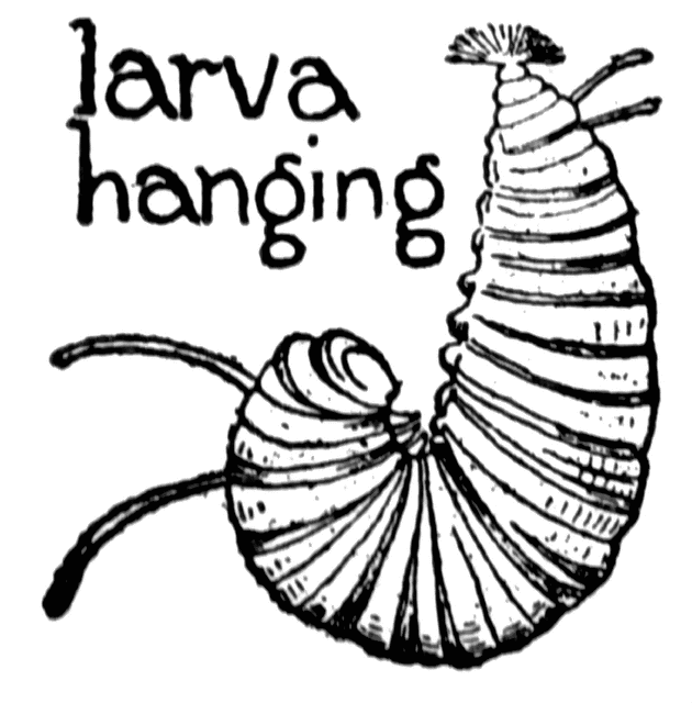 630x640 Monarch Butterfly Clipart Etc