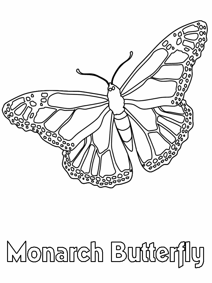 718x957 Monarch Coloring Pages