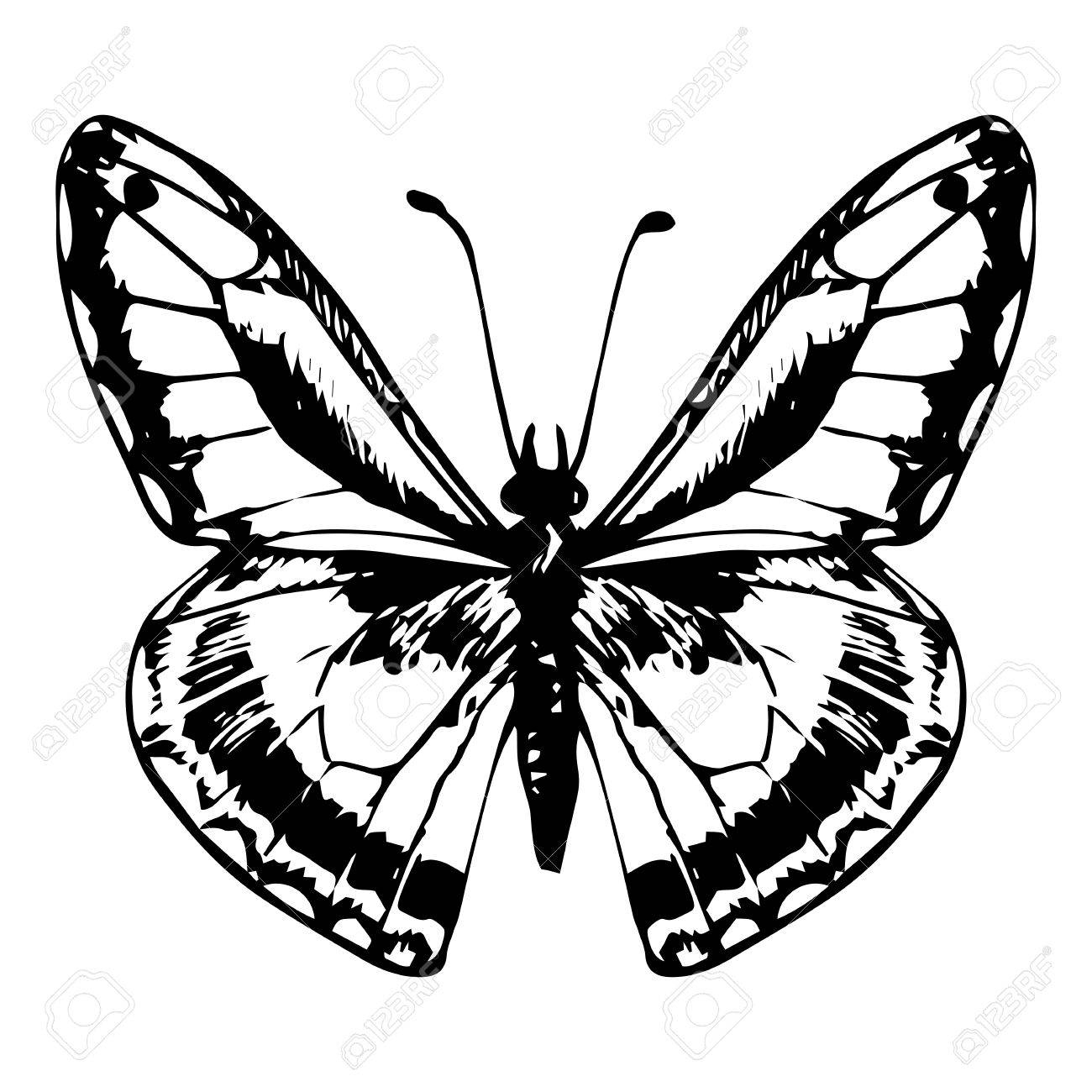 1300x1300 Butterfly Line Drawing Monarch Butterfly Line Drawing Flying