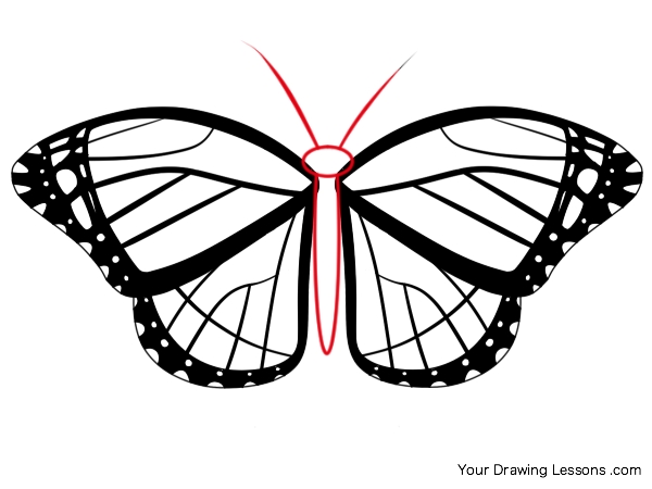 600x450 How To Draw A Monarch Butterfly Your Drawing Lessons