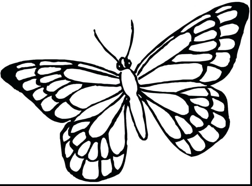 863x639 Marvelous Printable Butterflies Coloring Pages With Of And Monarch