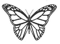 236x176 Monarch Butterfly Coloring Page Butterfly Art