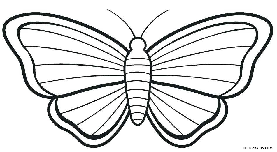 950x522 Monarch Butterfly Coloring Pages Monarch Butterfly Line Drawing