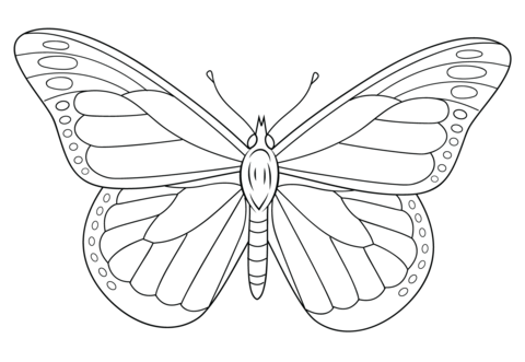 480x331 Monarch Butterfly Coloring Page Free Printable Coloring Pages