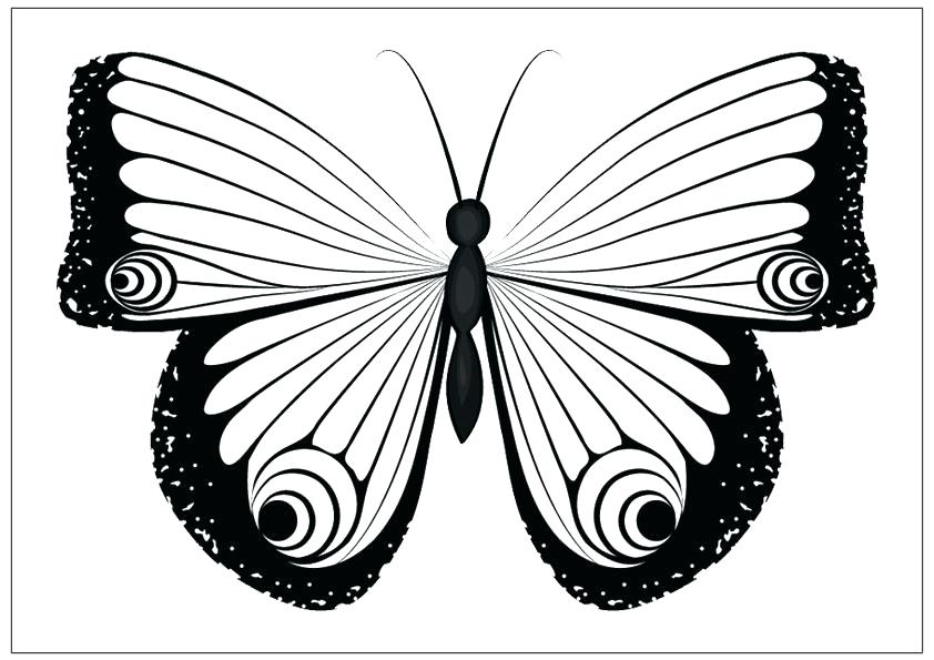 842x595 Monarch Butterfly Coloring Page Murs