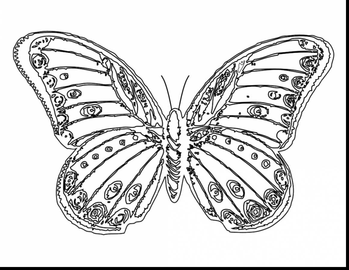1161x897 Superb Monarch Butterfly Coloring Pages With Coloring Pages