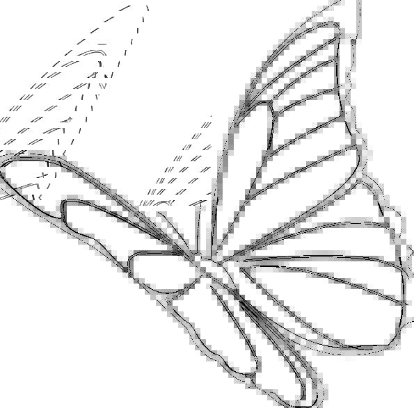 595x587 Butterfly, Hovering, Insect, Flying, Monarch, Ruler, Bug, Outline