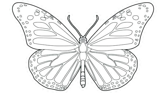 570x320 Butterfly Coloring Pages Preschool Monarch Page Line Drawing