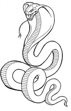 236x369 Image Result For Snake Guarding Money Drawing