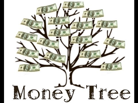 480x360 Money Tree