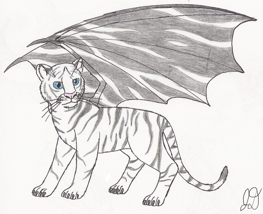 900x731 Tiger Wing By Electric Mongoose