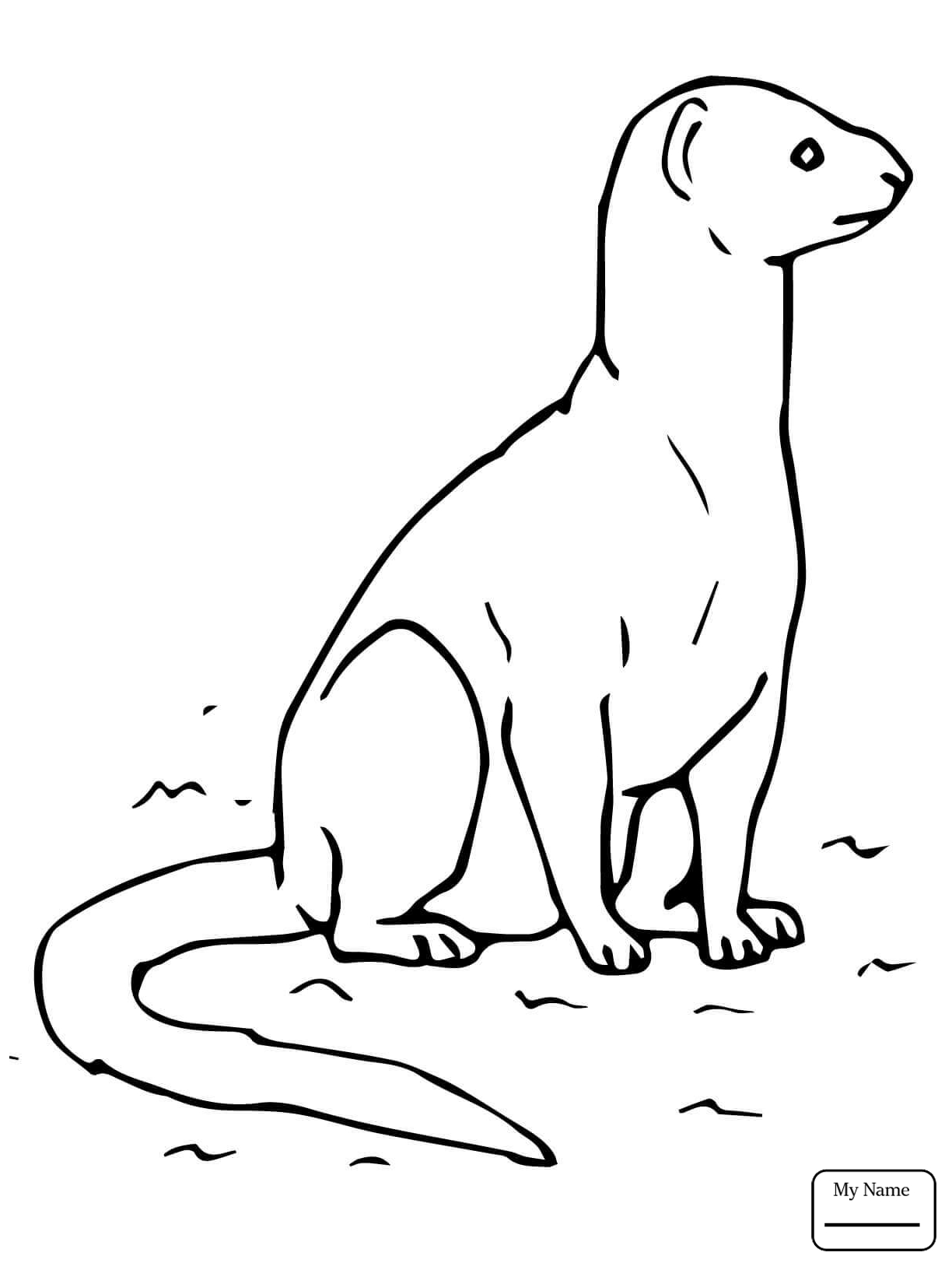 Mongoose Drawing at GetDrawings | Free download