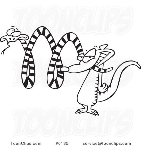 581x600 Cartoon Blacknd White Line Drawing Of Mongoosettacking