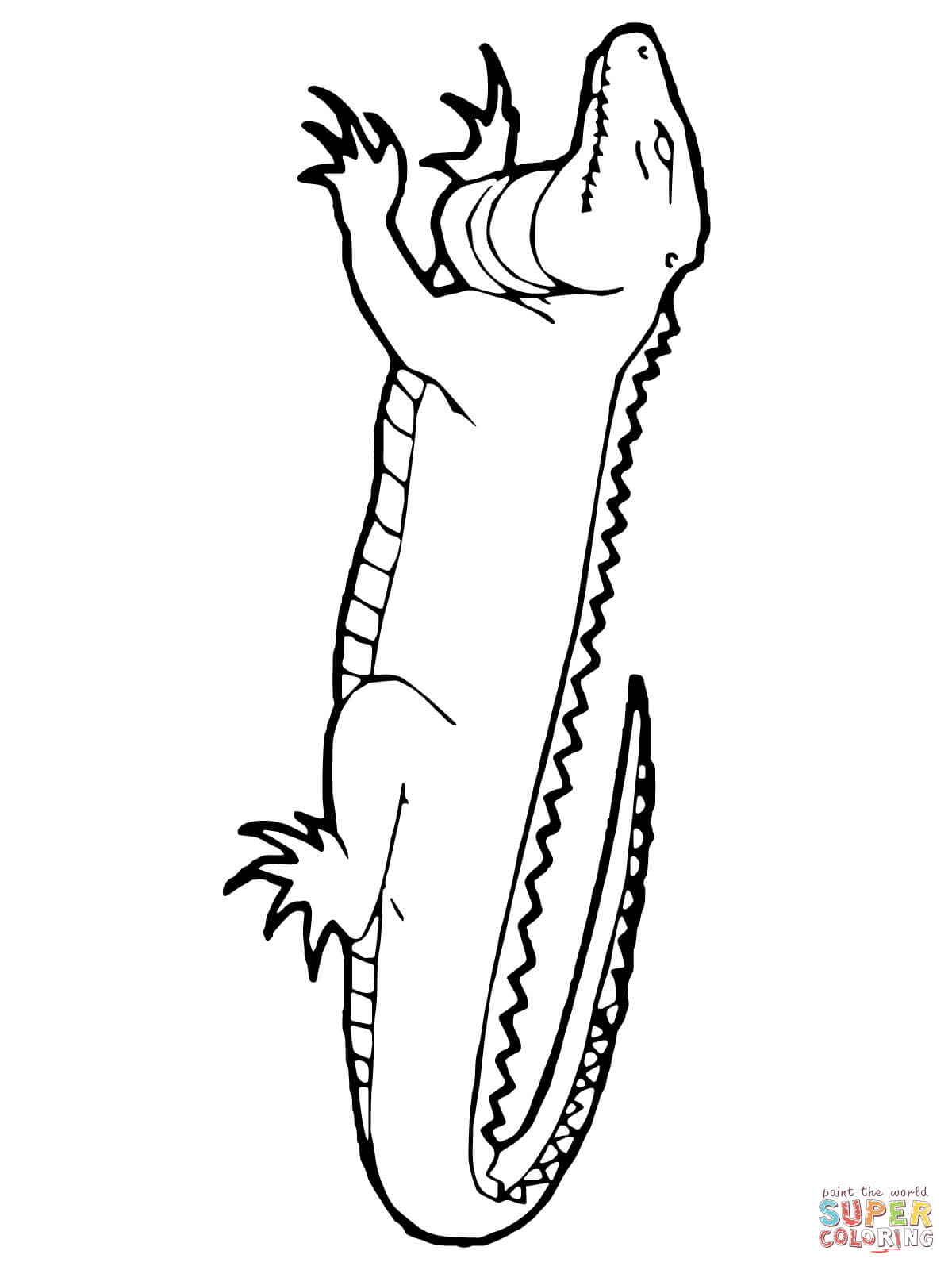1200x1600 Monitor Lizard Coloring Page Free Printable Coloring Pages