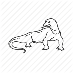 256x256 Comodo, Dragon, Giant Lizard, Komodo Dragon, Lizard, Monitor