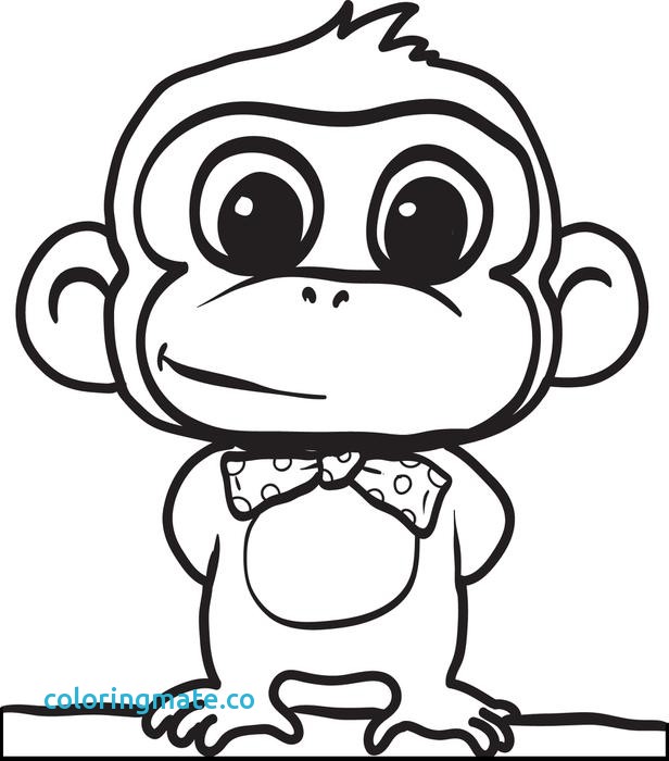 616x700 Coloring Pages Monkeys Fresh Monkey Printable Coloring Pages