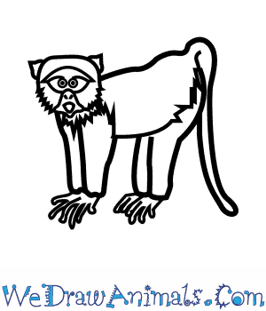 300x350 How To Draw A Blue Monkey