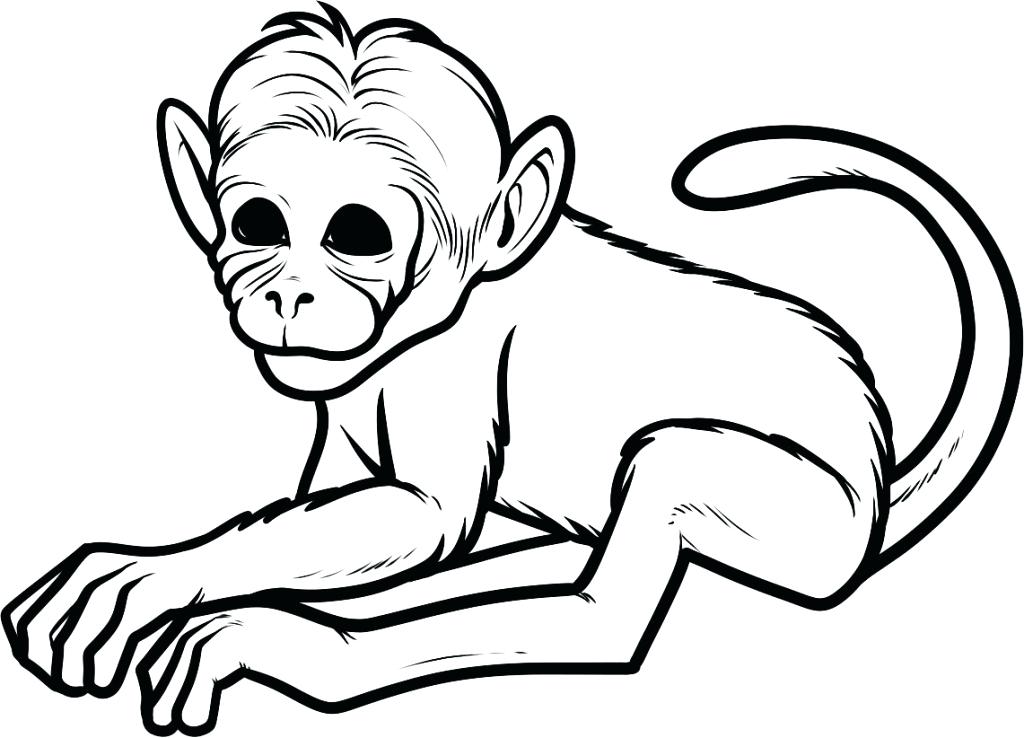 1024x738 Best Free Printable Monkey Coloring Pages Online For Kids