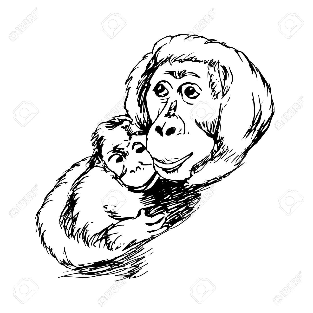 1300x1300 The Graphic Image Of The Monkey, Monkey Head, The Face. Drawing By