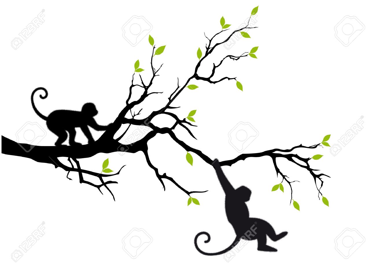 1300x909 Monkey Hanging On Tree Branch Royalty Free Cliparts, Vectors,