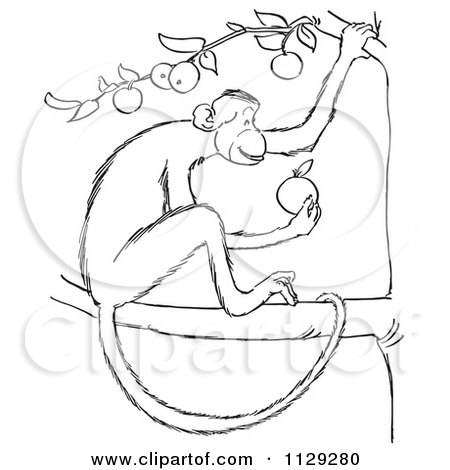 450x470 Monkey In A Tree Drawing