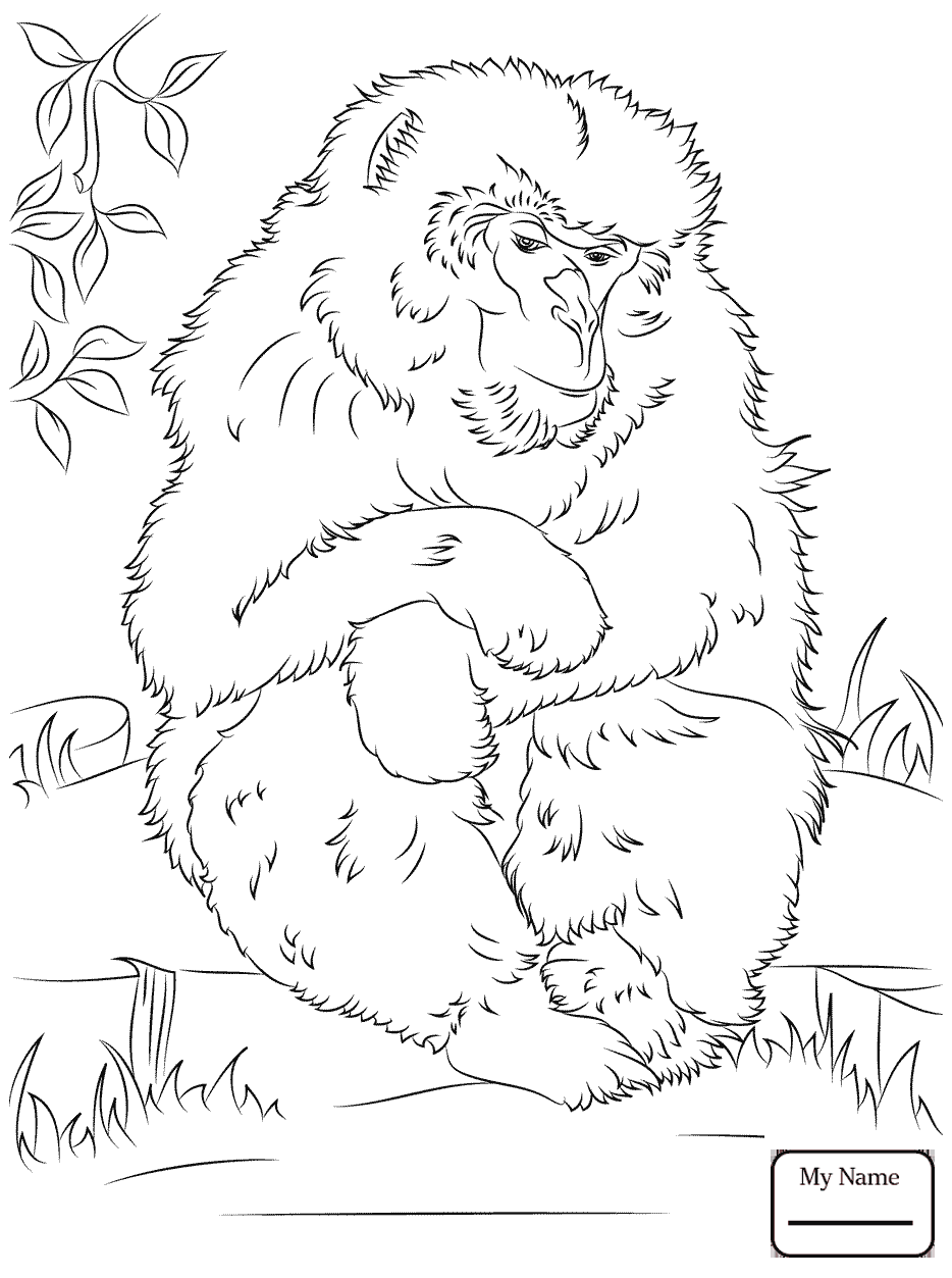 934x1253 Cartoon Monkeys Spider Monkey Hanging On Tree Mammals Coloring