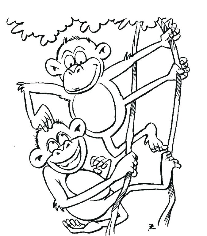 675x771 Best Monkey Coloring Pages New Monkeys 5 Little Page Free Cartoon