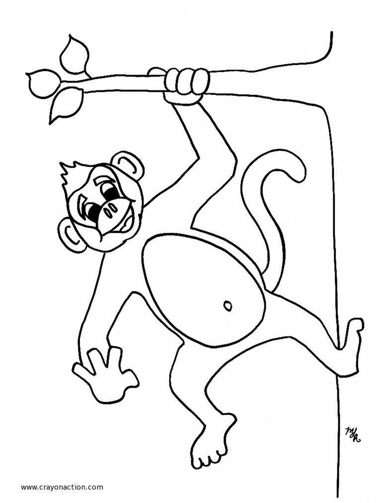 Monkey Hanging From Trees Drawing at GetDrawings | Free download