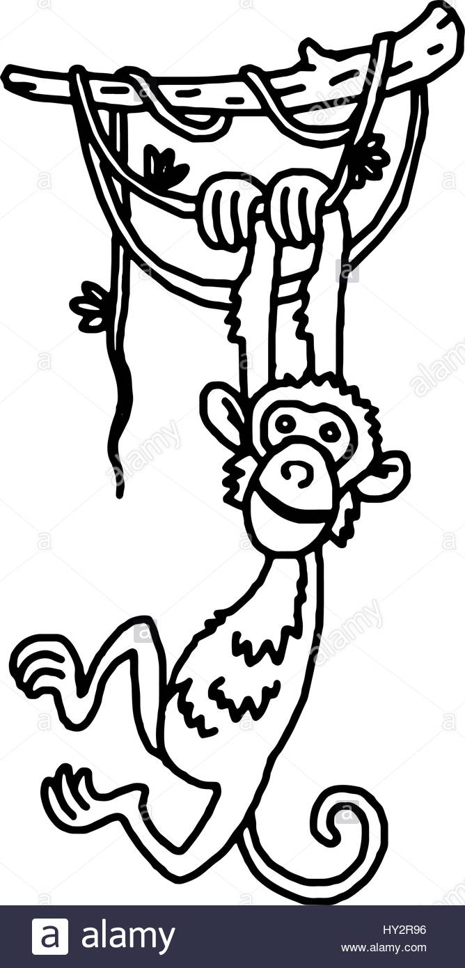 668x1390 Cute Baby Monkey Hanging On Tree Stock Vector Art Amp Illustration