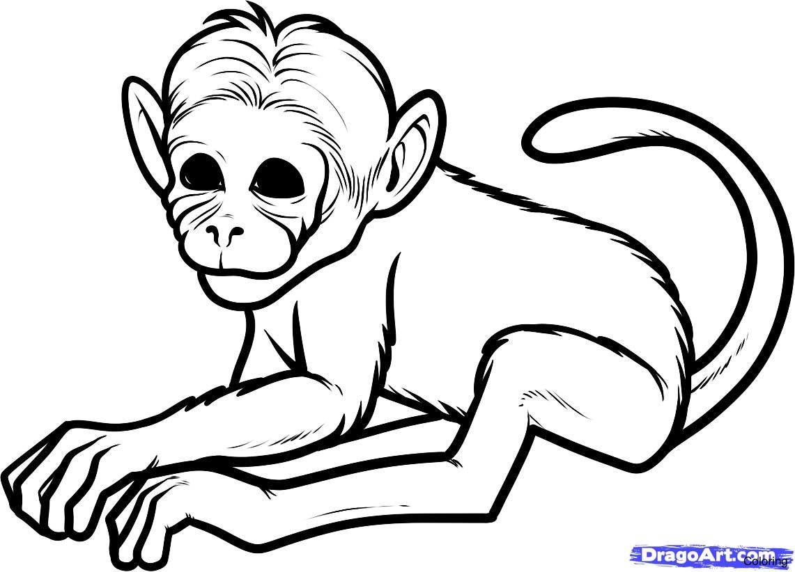 1141x822 Drawings Of Monkeys Coloring Step By Monkey's Head In Trees Diaiz