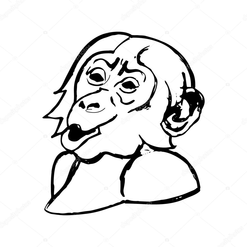 1024x1024 Monkey Head (Wonder)