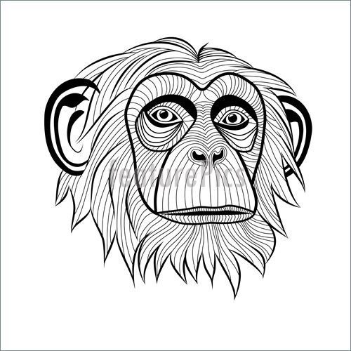 500x500 Monkeys And Apes Monkey Chimpanzee Head