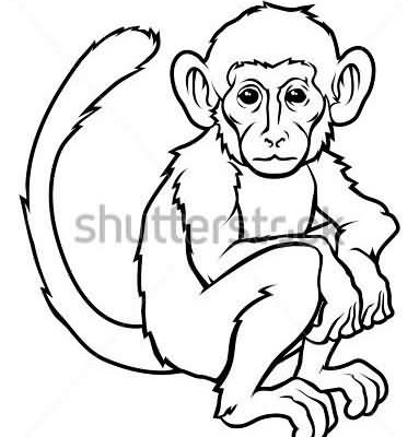 383x400 Collection Of Dagger Through Monkey Head Tattoo On Muscles