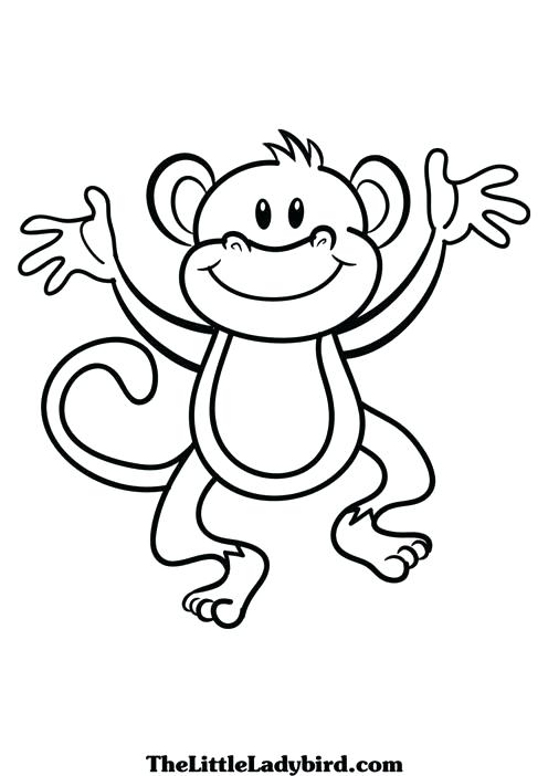 496x702 Elegant Monkey Color Pages Print Coloring New For Line Drawings