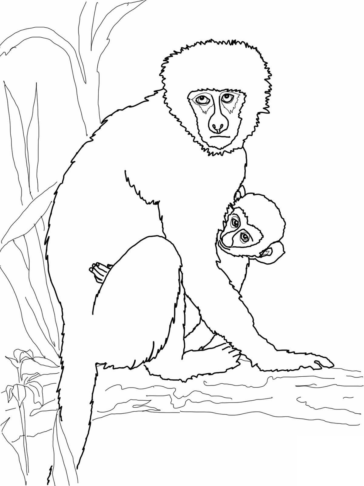 1200x1600 Free Printable Monkey Coloring Pages For Kids