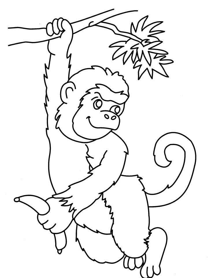 720x960 Outline Of A Monkey 388603