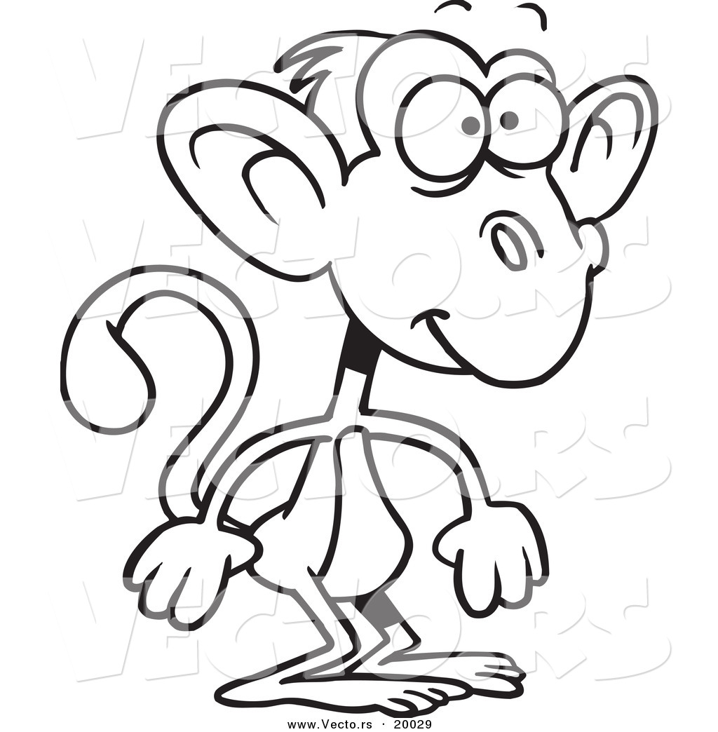 1024x1044 Vector Of A Cartoon Standing Monkey