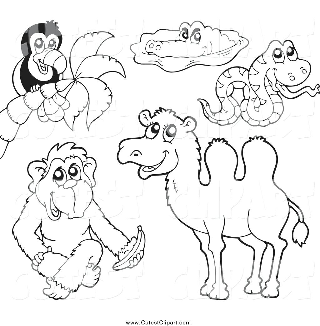 1024x1044 Black And White Toucan Crocodile Snake Monkey Camel 132 Cool